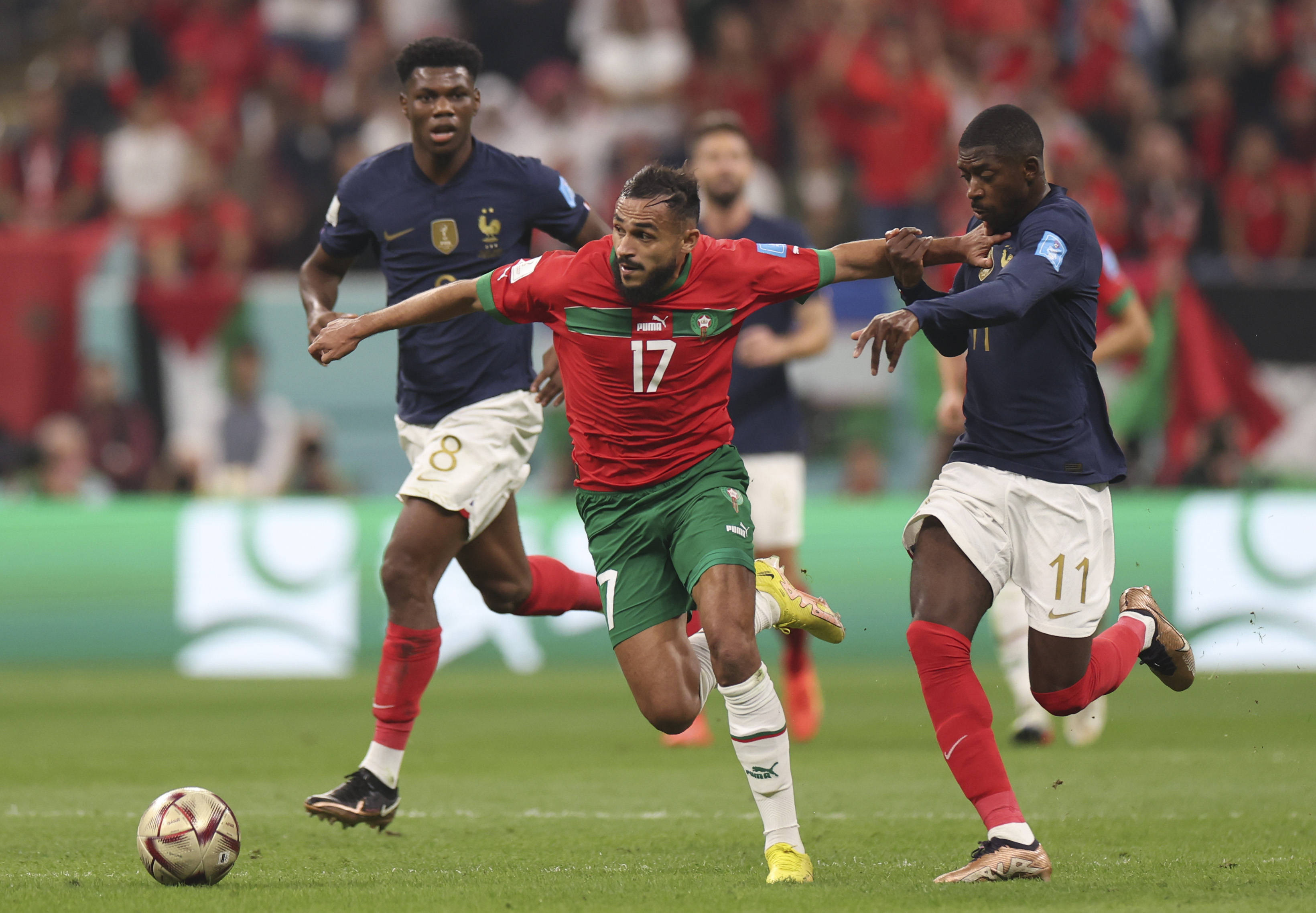 使得年轻才 使得年轻才